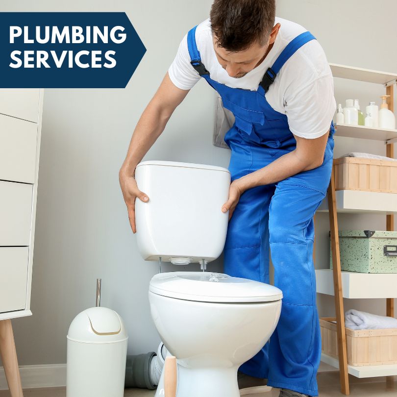 Plumbing Company in Palms, MI