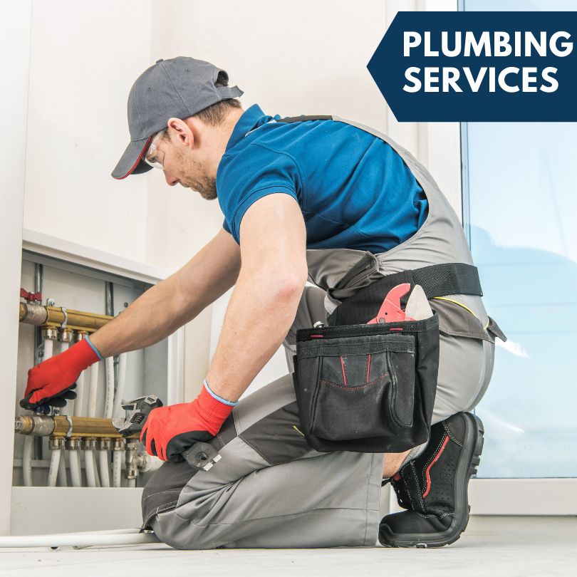 Palms Plumbing Company